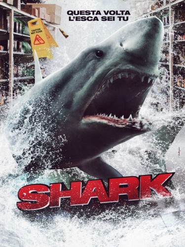 Shark - shark, (ds)